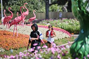 BIB: 
                            <button type="button" onclick="openModal(27793575)" class="btn btn-primary btn-sm float-right btn-popup" data-toggle="modal" data-target=".modal-high-quality">
                        <i class="fas fa-shopping-cart"></i> Add to Cart
                    </button>
                                            <button type="button" onclick="isThisMe(27793575, true)" class="btn btn-success btn-sm float-right btn-popup btn-isme hidden" data-toggle="tooltip" data-placement="bottom" title="นี่คือรูปของคุณใช่ไหม คลิกที่นี่เพื่อเอาเข้าอัลบั้ม">
                        <i class="fas fa-plus"></i> Add to album
                    </button>
                    <button type="button" onclick="isThisMe(27793575, false)" class="btn btn-warning btn-sm float-right btn-popup btn-isnotme hidden">
                        <i class="fas fa-ban"></i> Remove from album
                    </button>